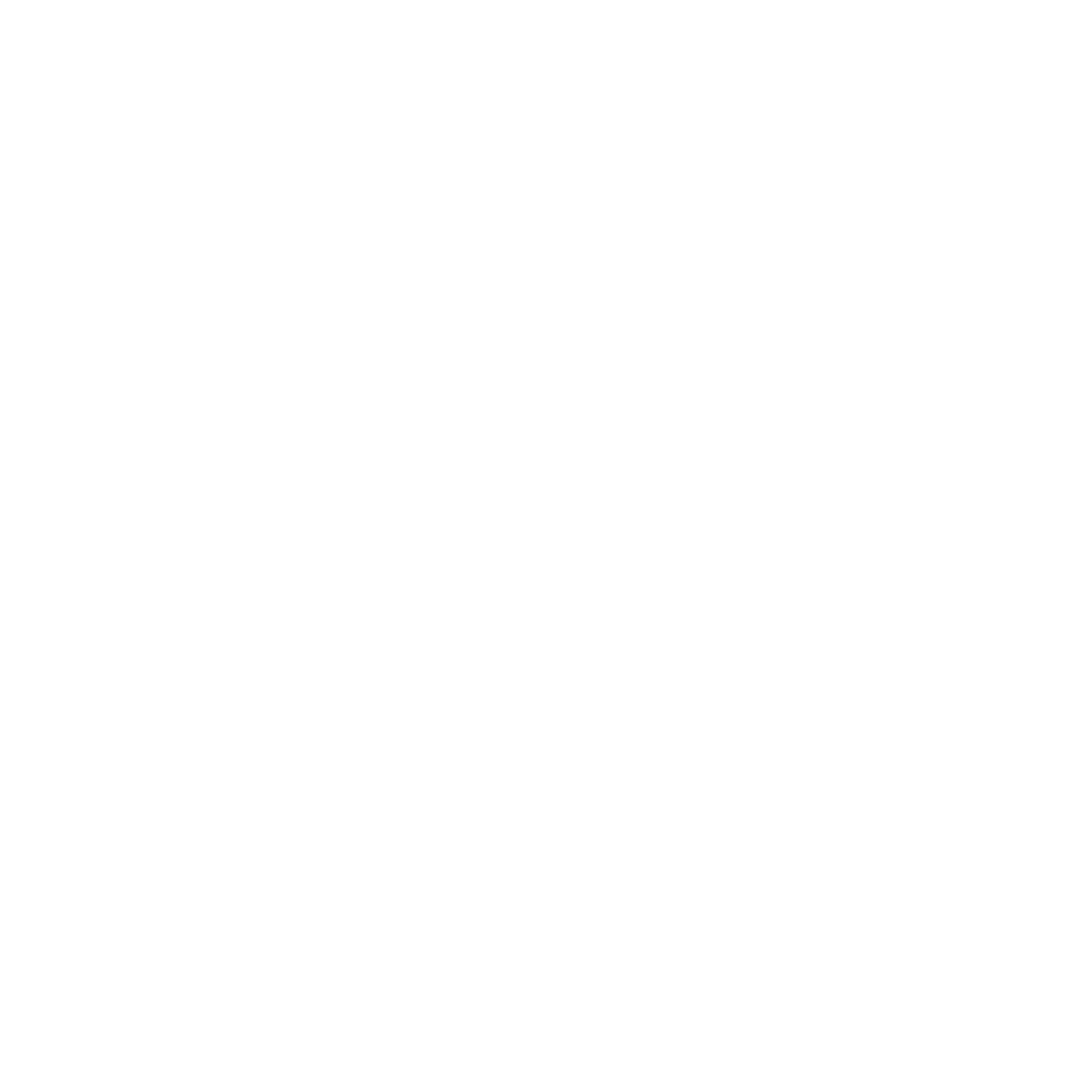 icon-white